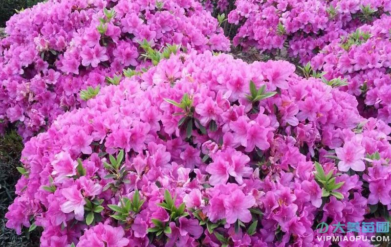 专题banner