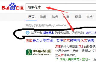 通过百度，我才发现湖南再无花木