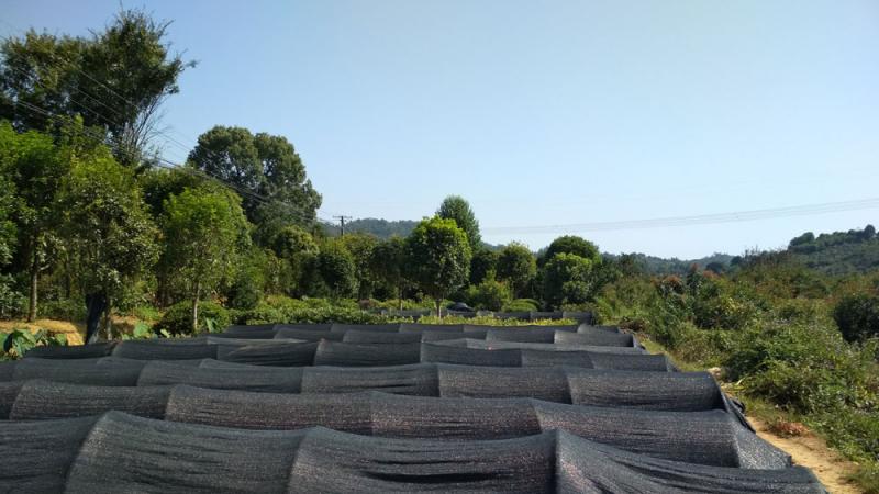 城市园林绿化工程中投标报价的精髓和技巧（二）