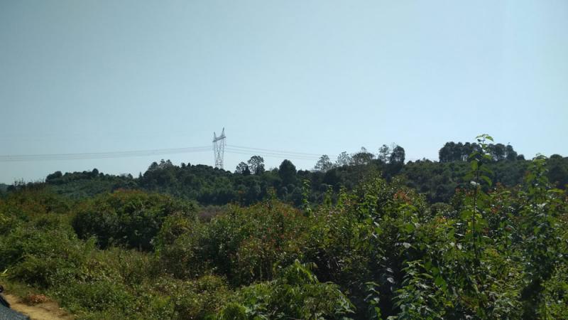 城市园林绿化工程中投标报价的精髓和技巧（三）
