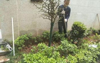 私人别墅庭院绿化改造