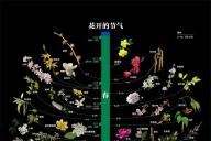 最全春夏秋冬各种花开的时间表