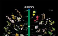 最全春夏秋冬各种花开的时间表