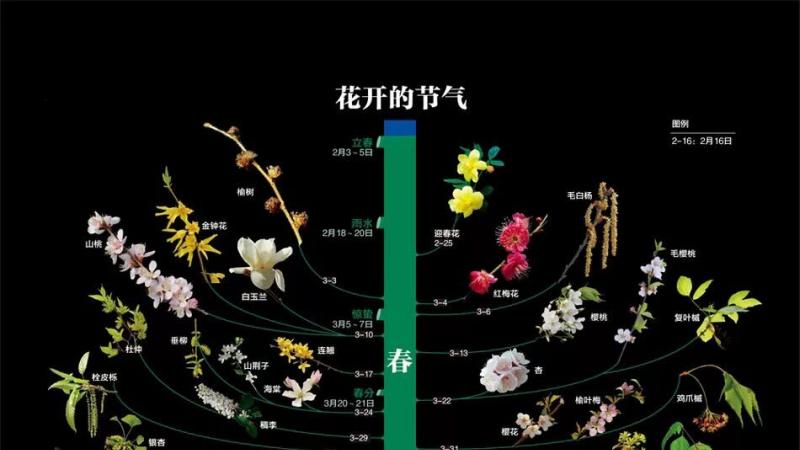 最全春夏秋冬各种花开的时间表