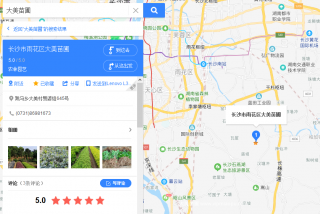 长沙市雨花区大美苗圃怎么样