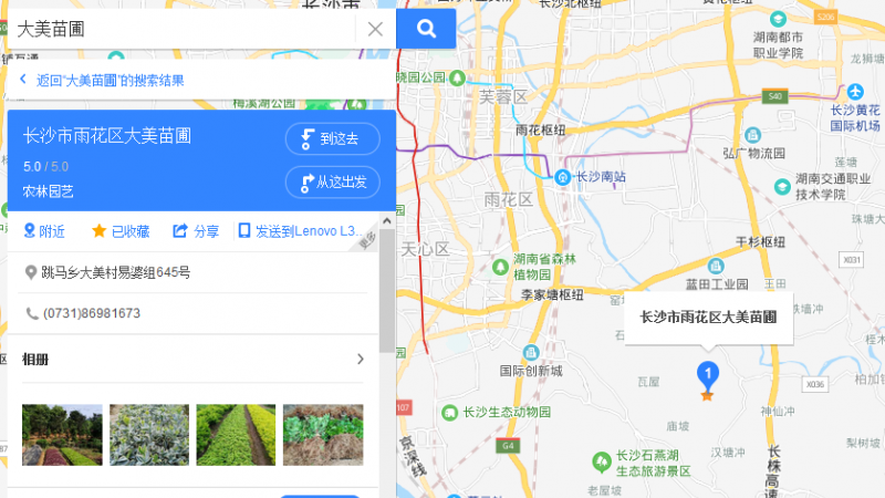长沙市雨花区大美苗圃怎么样