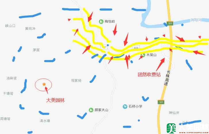 造型罗汉松地图示意