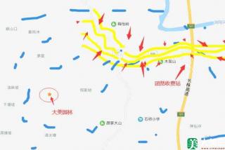 湖南造型罗汉松哪里最多