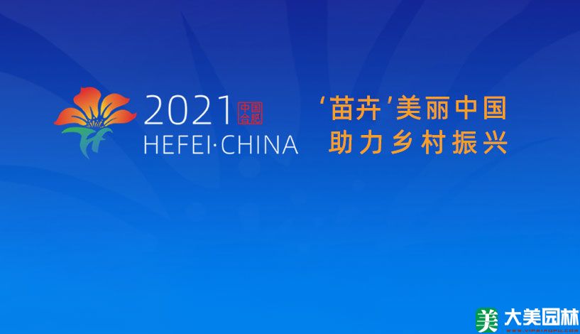 “苗卉”美丽中国，助力乡村振兴