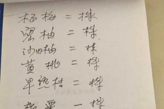 湖南果树苗育苗基地在哪