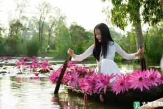 睡莲要深水养还是浅水养？